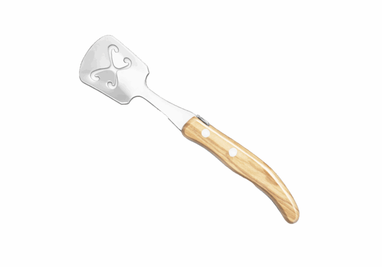 Accessoires - Cuillère à glaçons